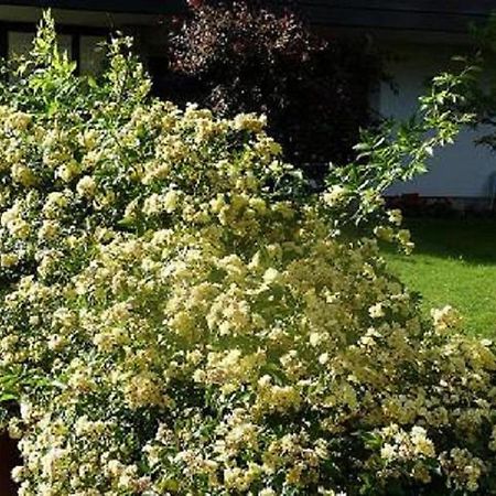 Haus Christl Bed & Breakfast Lana Dış mekan fotoğraf