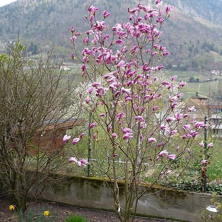 Haus Christl Bed & Breakfast Lana Dış mekan fotoğraf