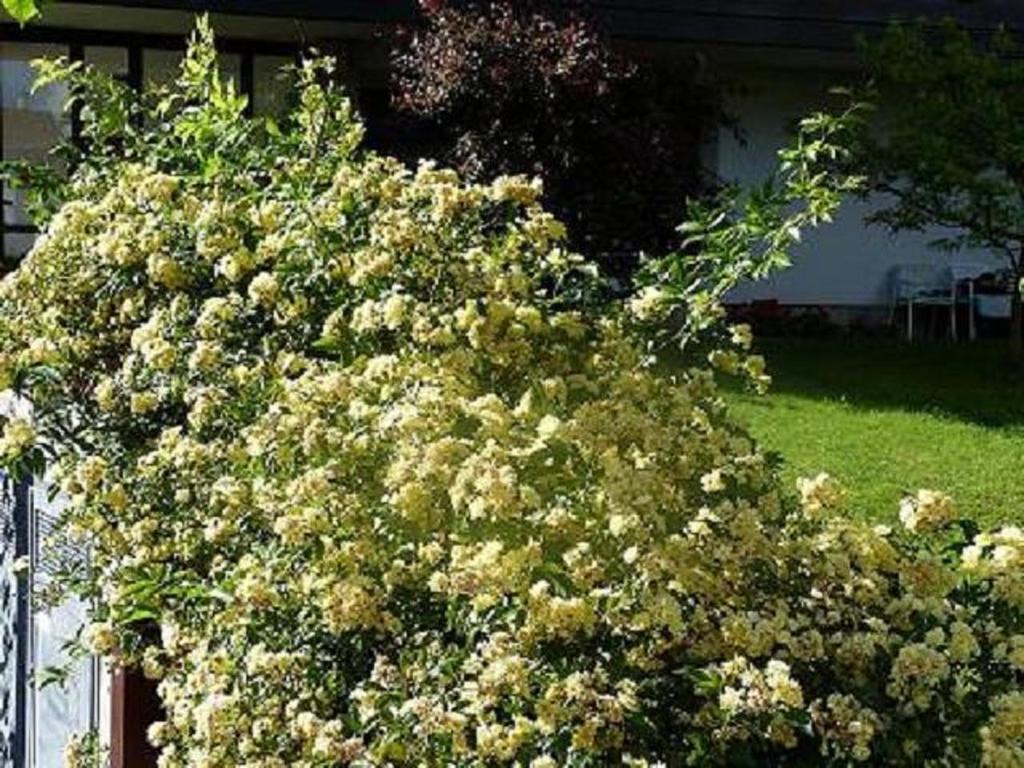 Haus Christl Bed & Breakfast Lana Dış mekan fotoğraf