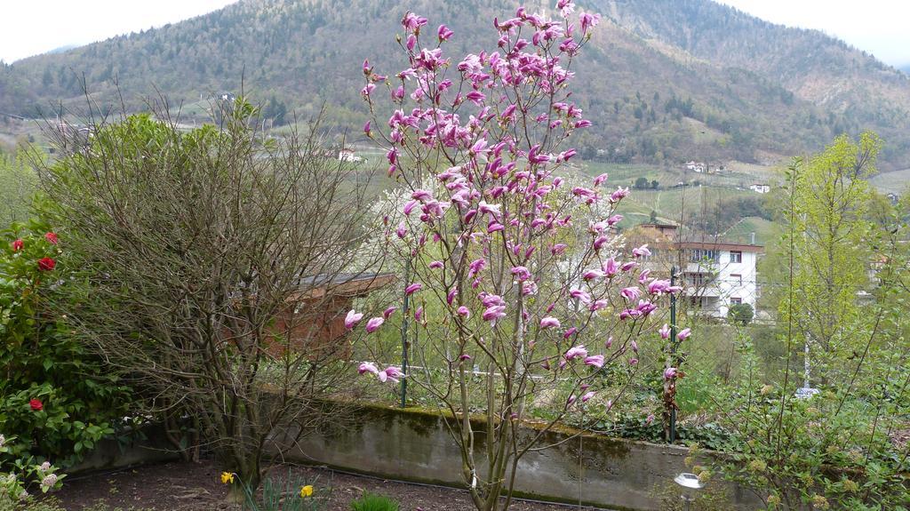Haus Christl Bed & Breakfast Lana Dış mekan fotoğraf